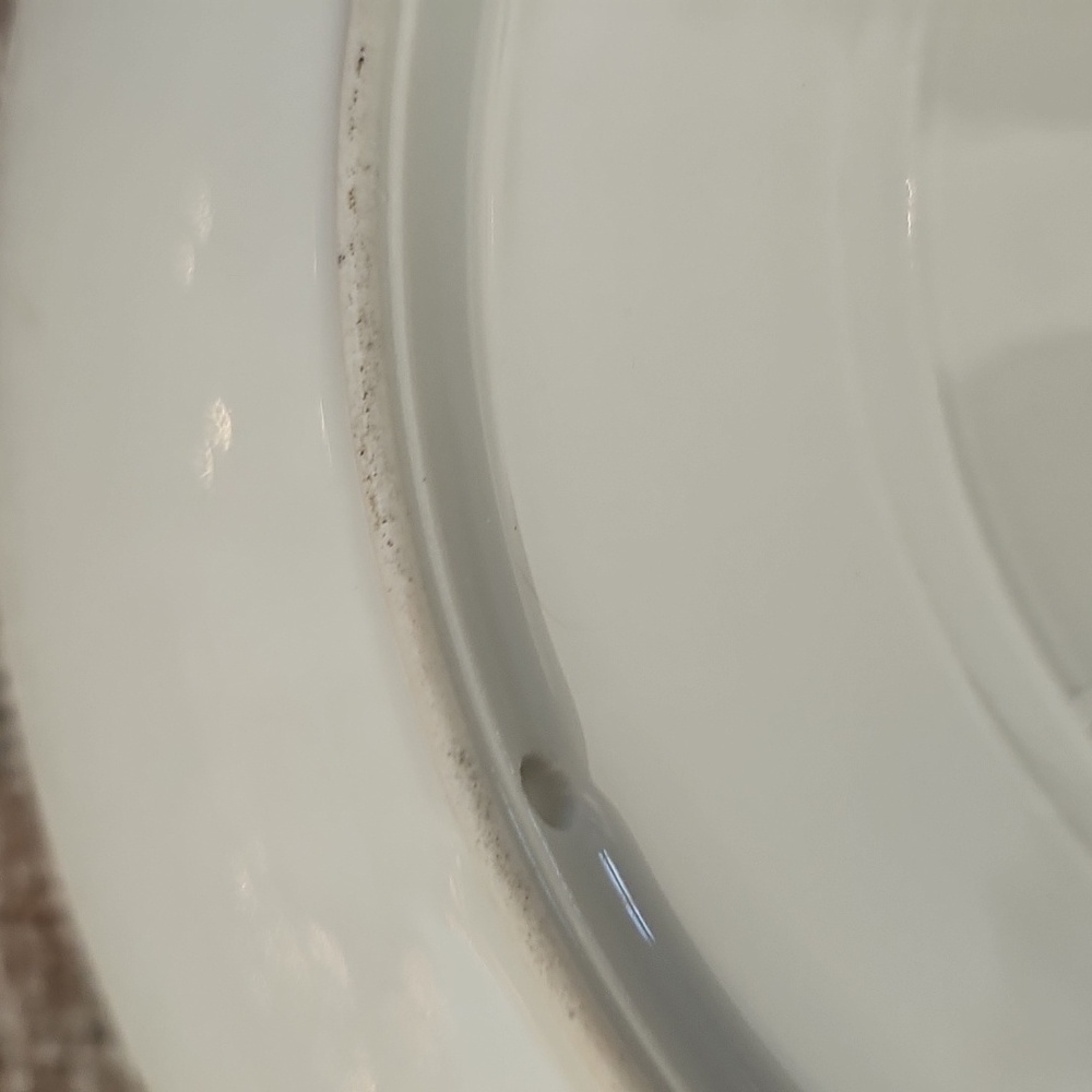 Lazeyras, Rosenfeld & Lehman (L R L) Limoges Bird Game Plate - Picture 9 of 12